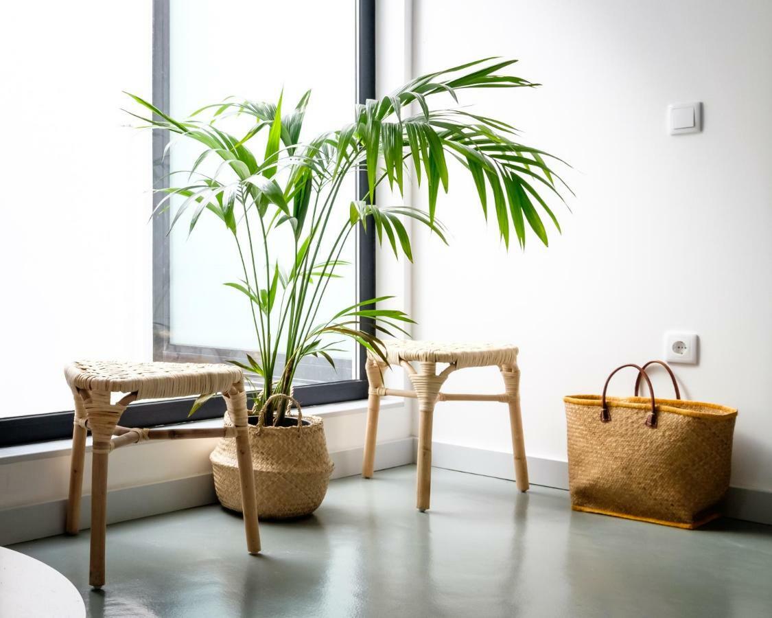 Casa Do Vento By Sweet * Aveiro